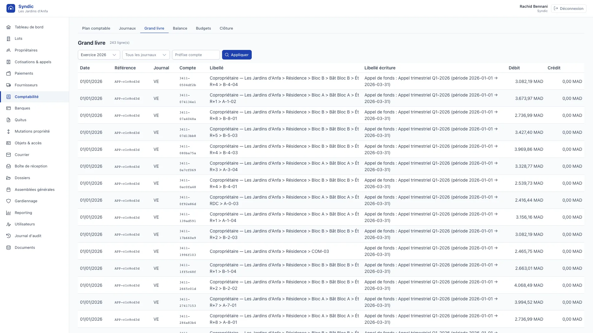 Interface de comptabilité de copropriété : grand livre avec écritures détaillées par compte et par exercice